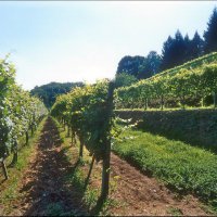 Cascina Piano Estate